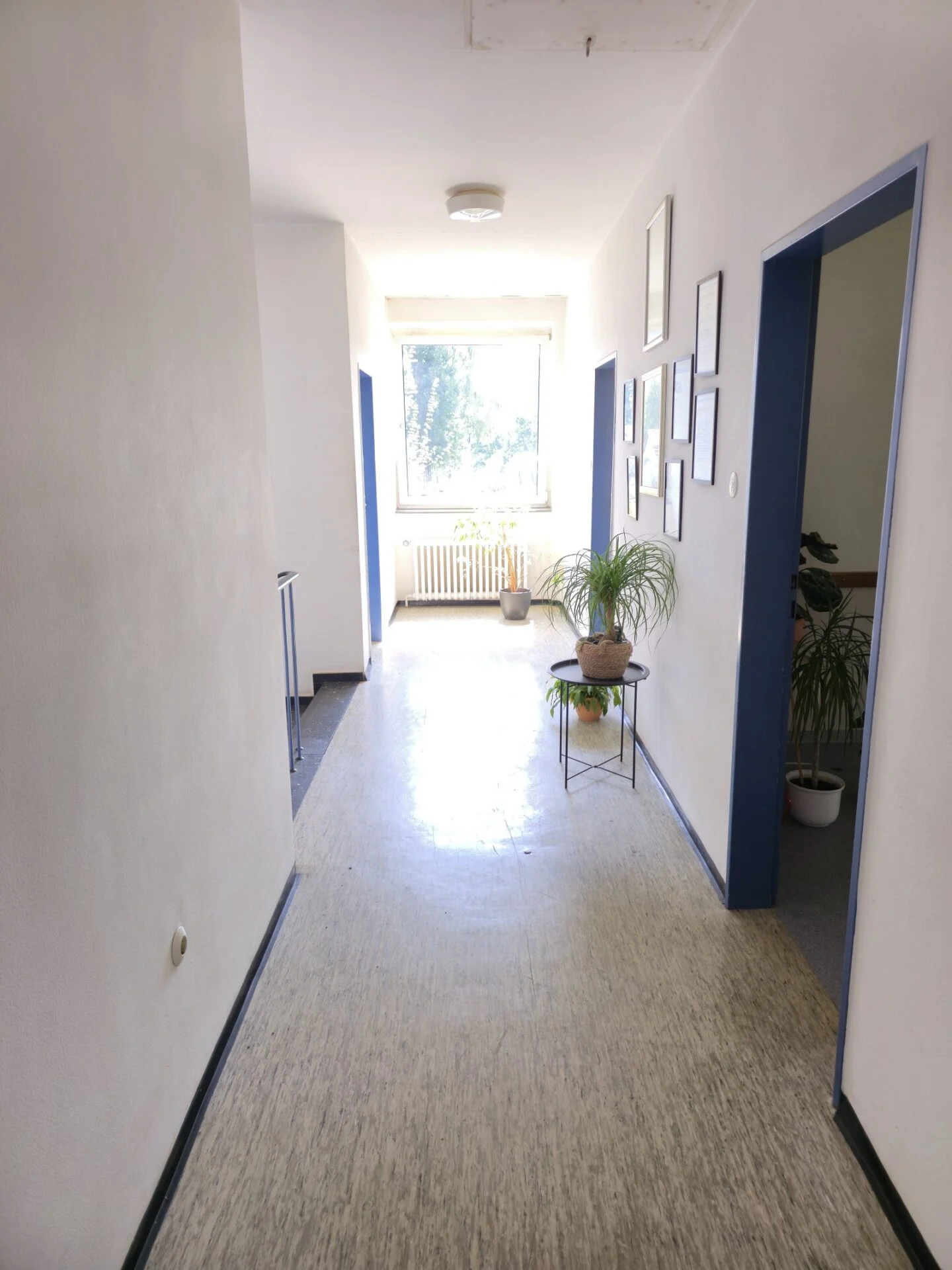 Foto der Immobilie (1135)