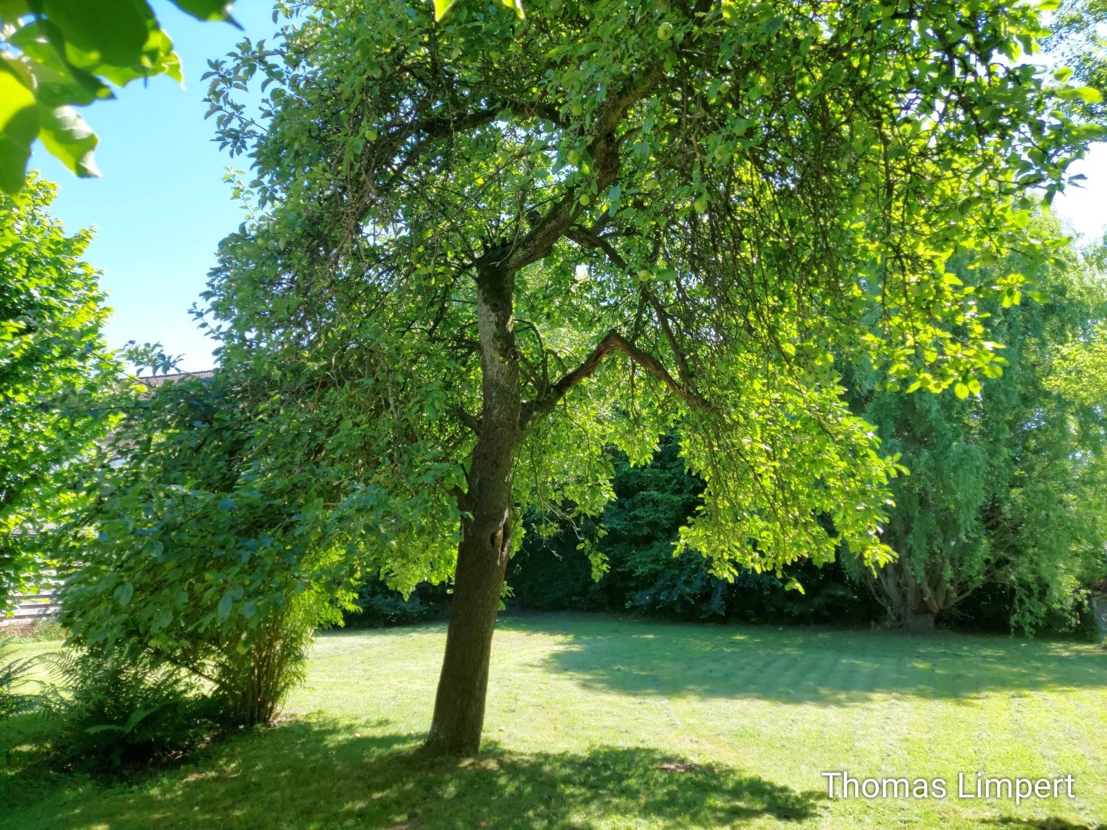 Foto der Immobilie (1003)