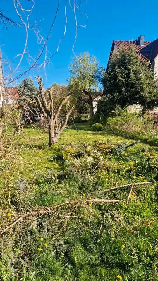 Foto der Immobilie (224)